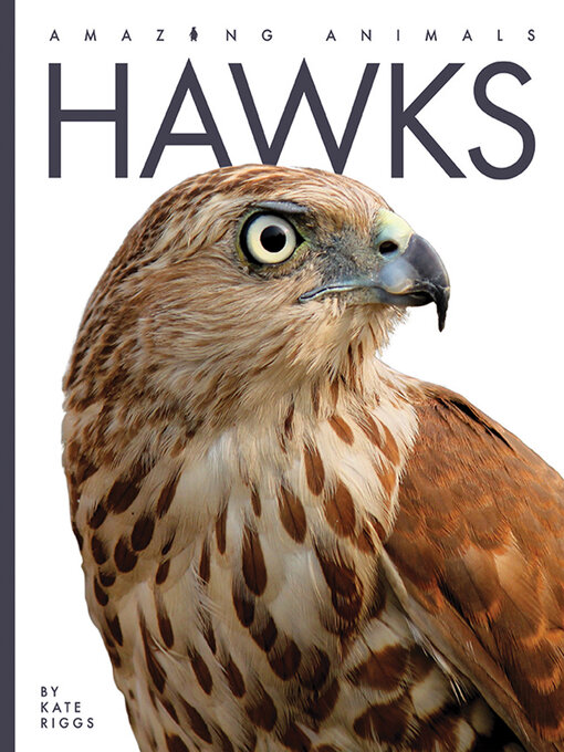 Title details for Hawks by Kate Riggs - Wait list